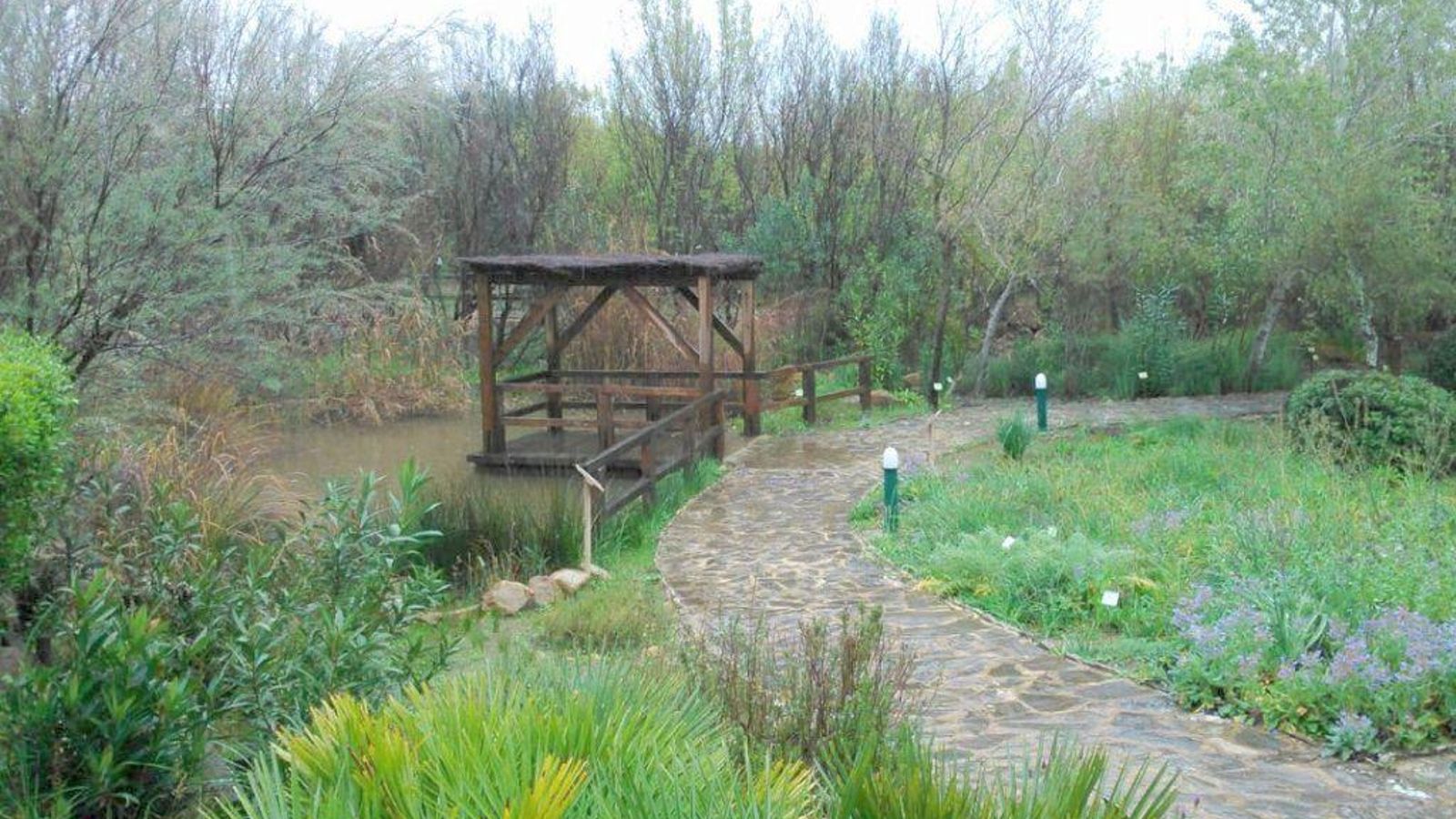 'El Aljibe' es un lugar rodeado de naturaleza, donde descubrirás la variedad de su extensa vegetación