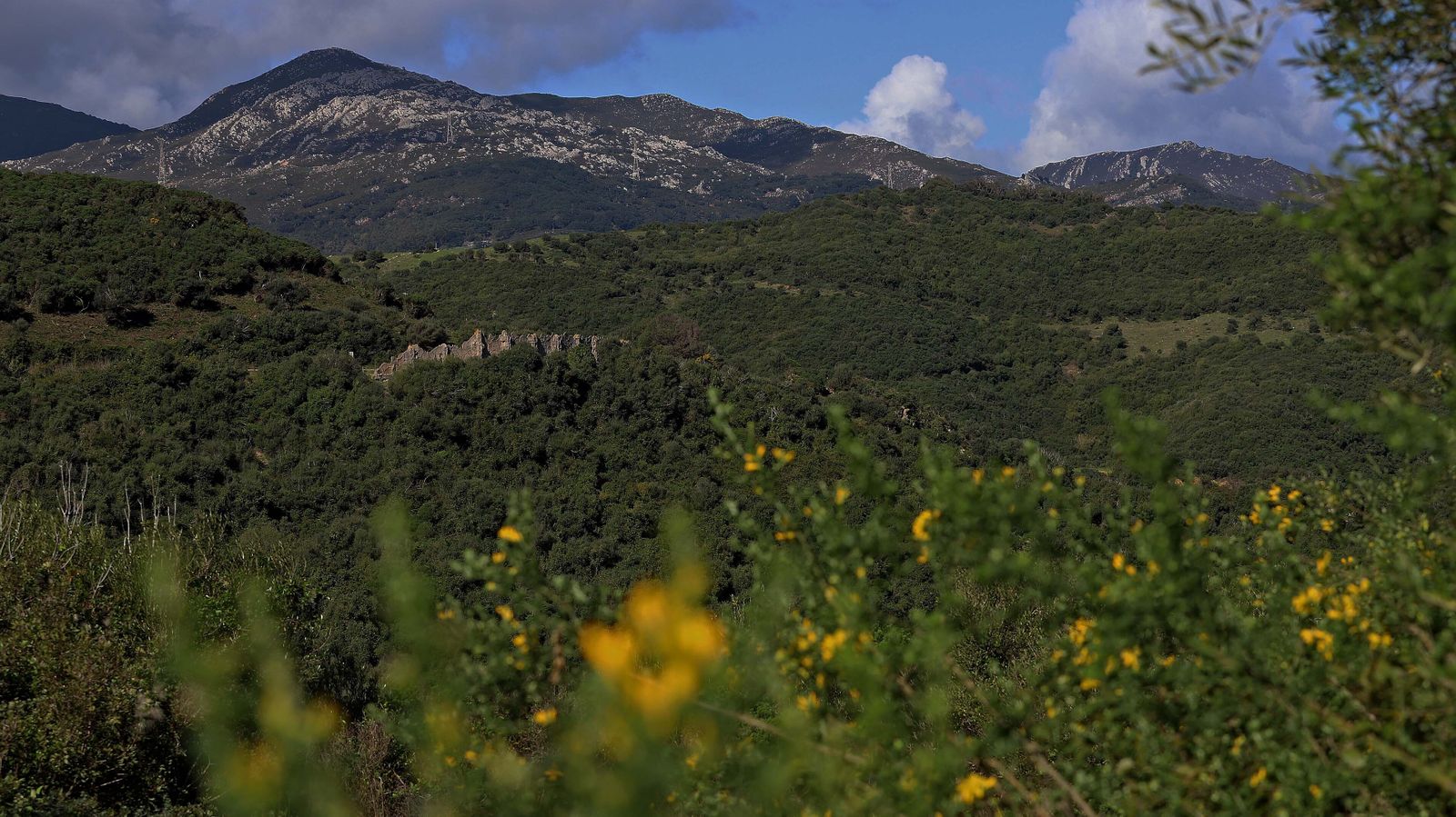 Carretera de Las Pantallas en Algeciras