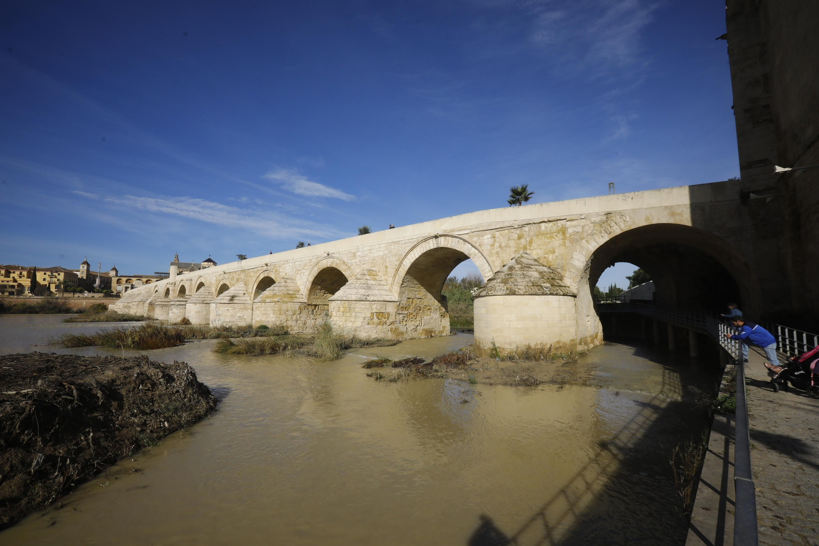 El caudal del río Guadalquivir recupera la normalidad en Córdoba, en imágenes