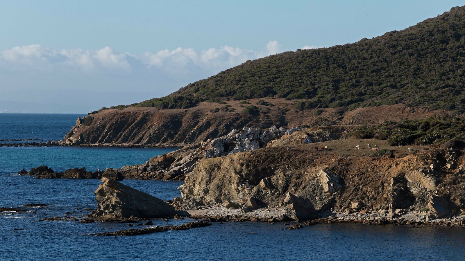 Las mejores fotos del sendero de la Colada de la Costa en Algeciras