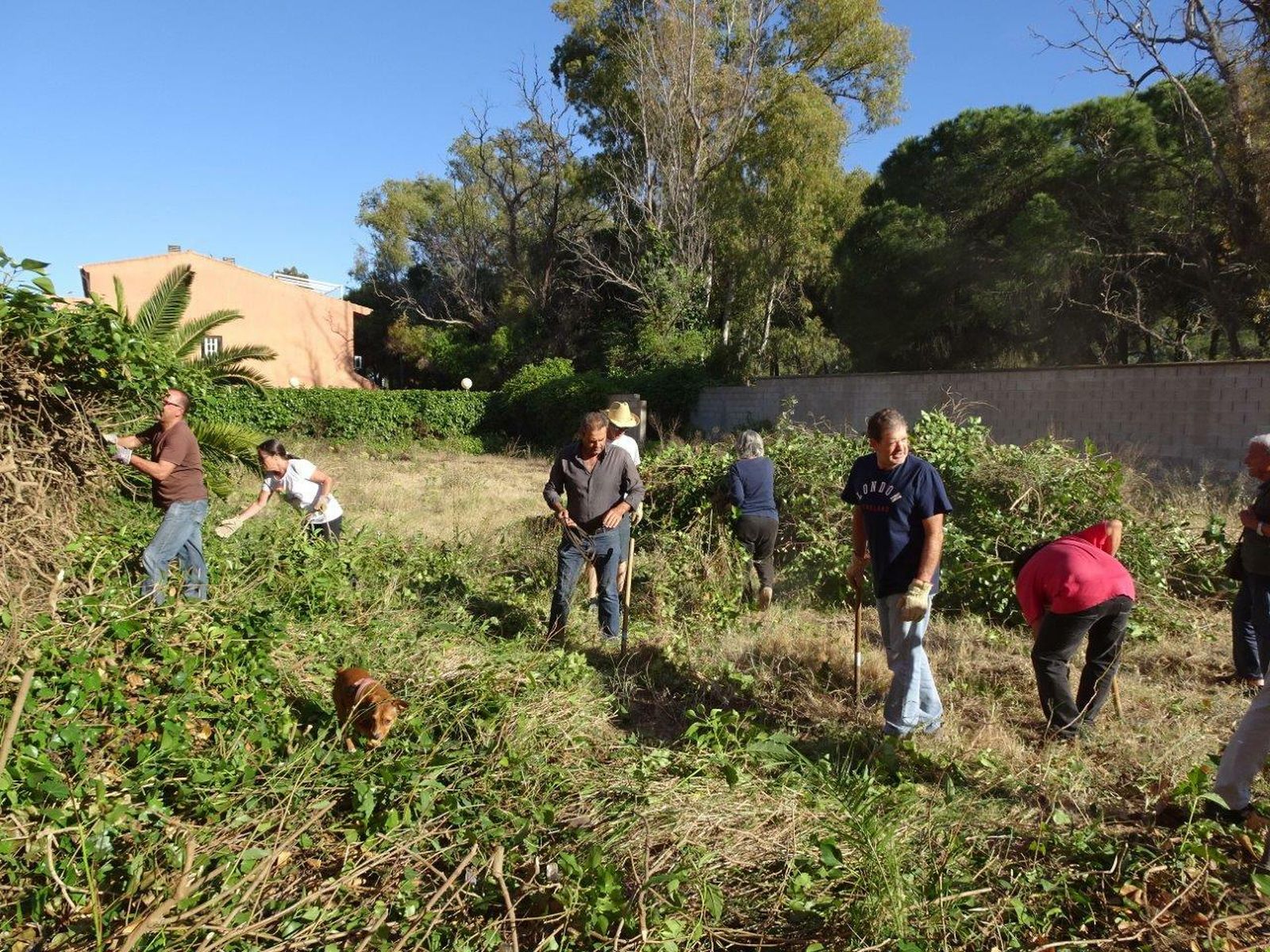 Los ecologistas, trabajando en la parcela municipal donde preparan los nuevos huertos.