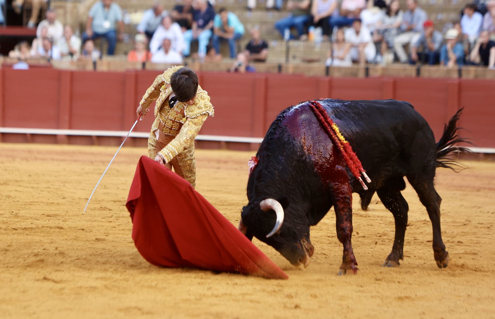 Novillada El Melli, Aarón Palacios y Manuel Jesús  Carrión