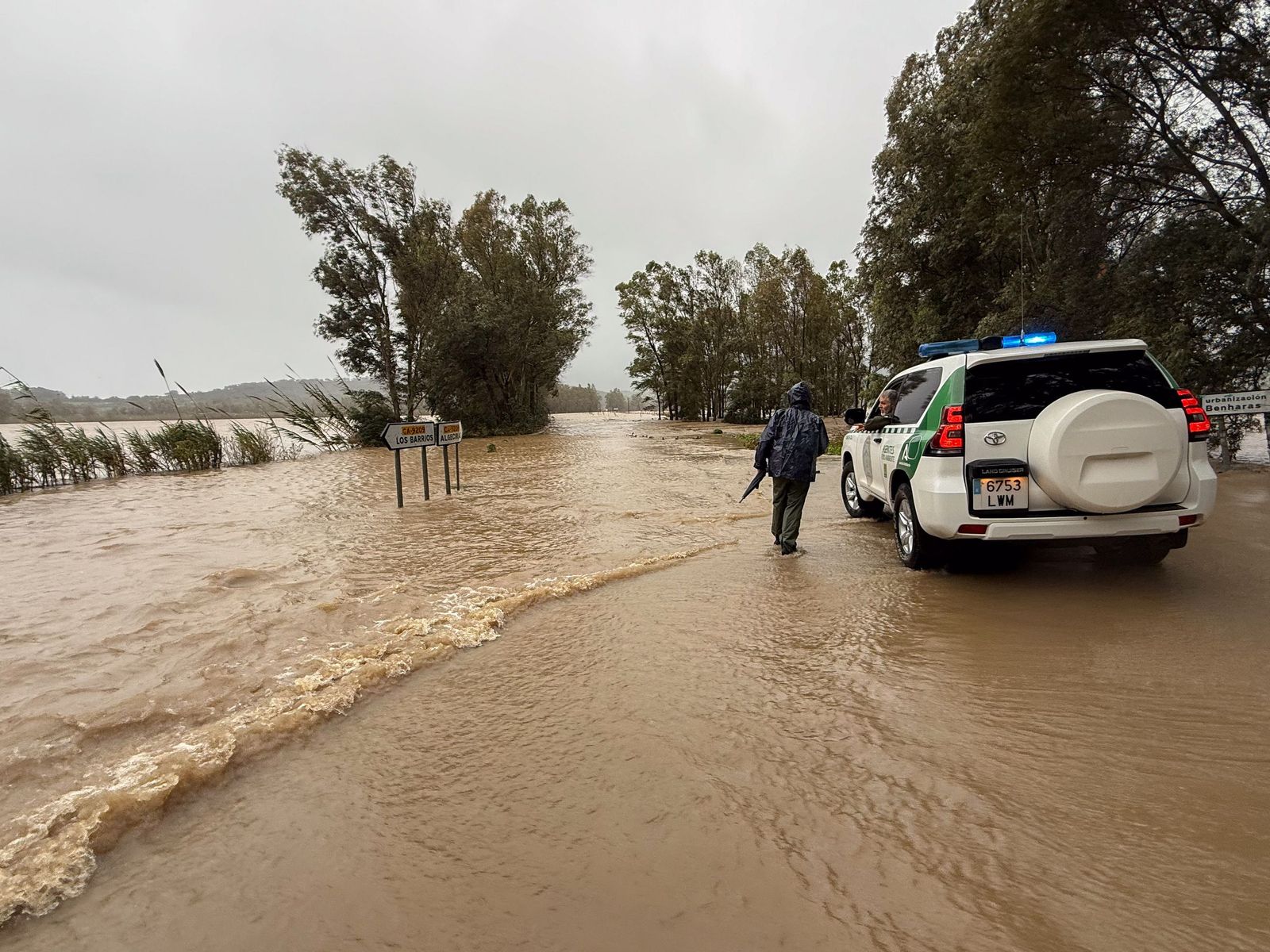 Fotos: Así amaneció el Campo de Gibraltar tras el paso de la borrasca Leonardo