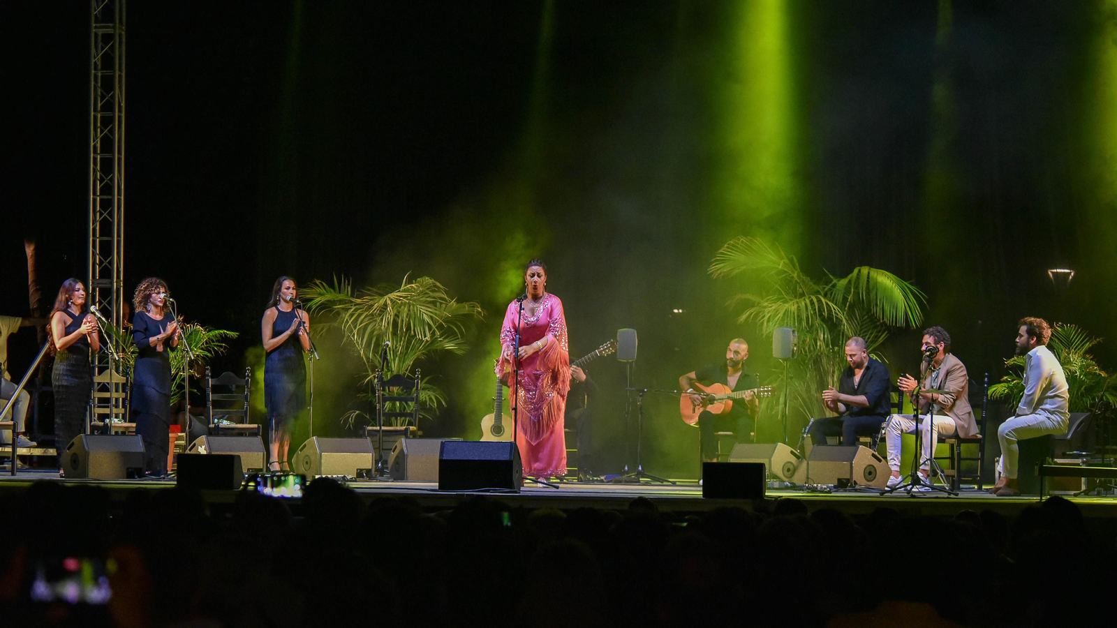Fotos del concierto de Diego del Morao en el IX Encuentro Internacional de guitarra Paco de Lucía