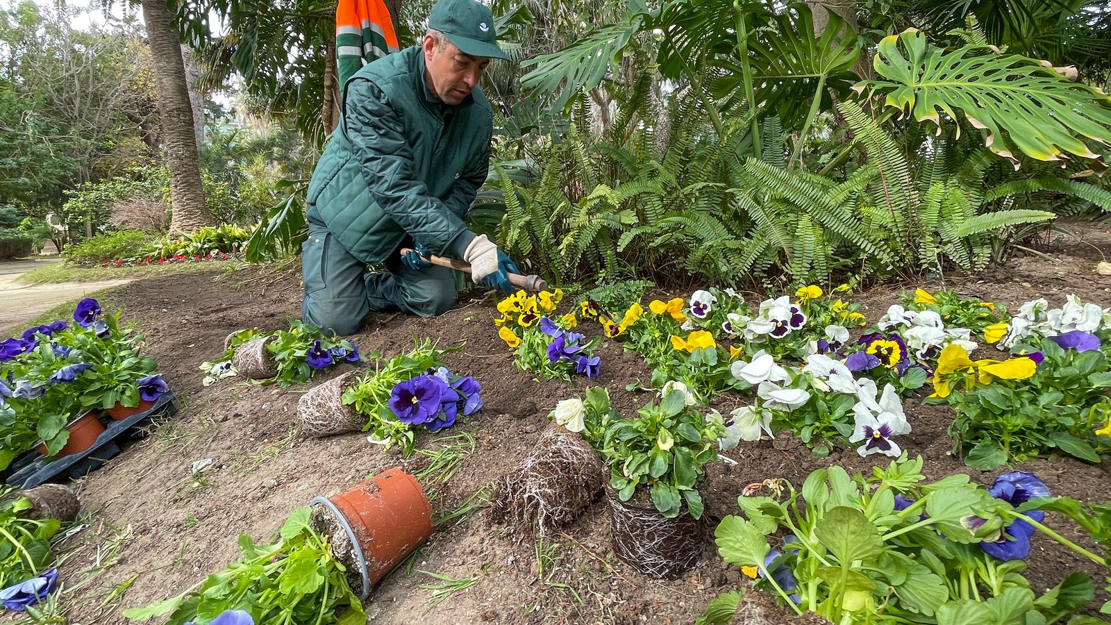 Victor, trabajando y aprendiendo en el Parque Genovés, de Cádiz.
