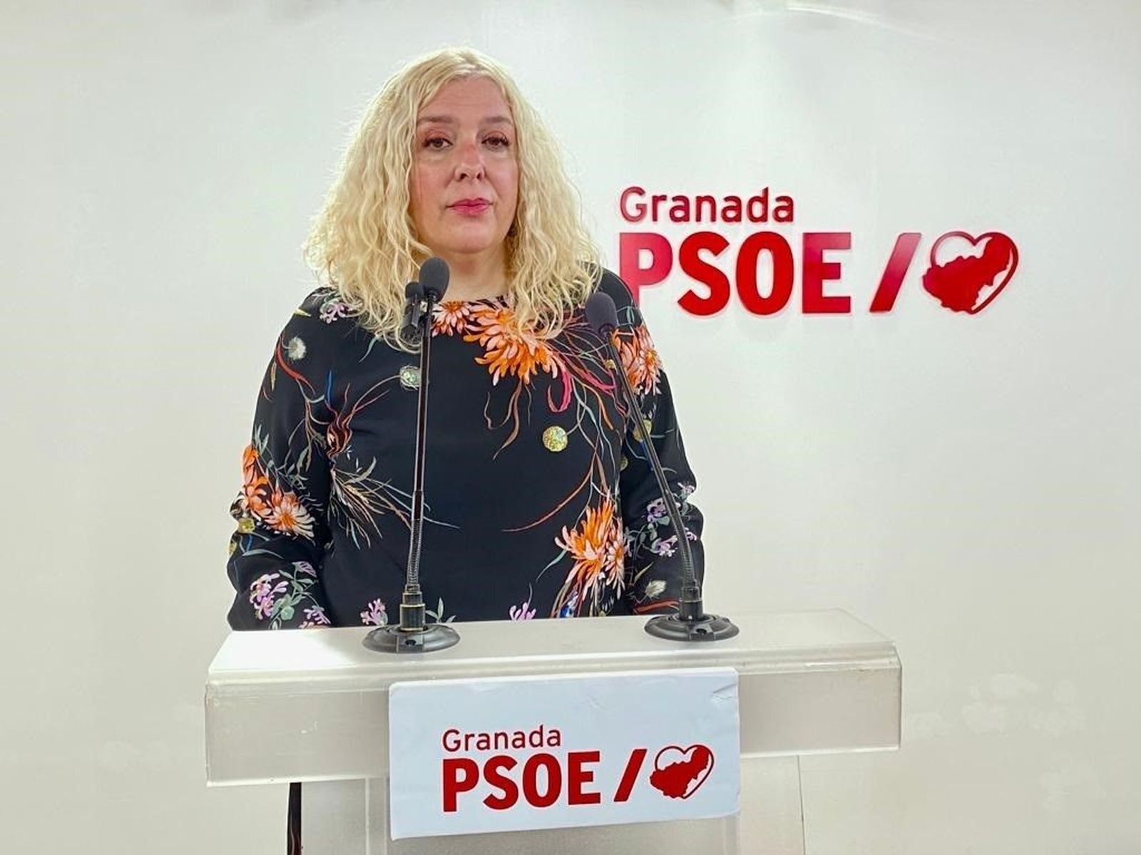 La diputada provincial del PSOE, Flor  Almón