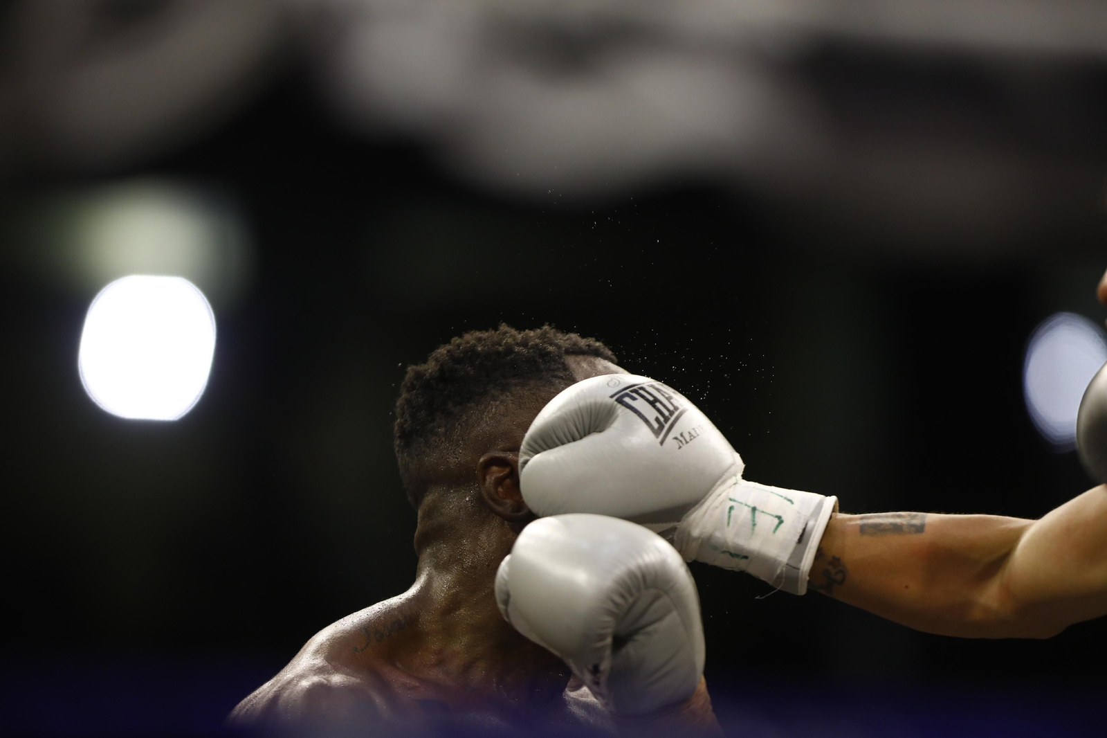 Las imágenes del combate entre José Luis Navarro Jr y Ronny Landaeta en Córdoba