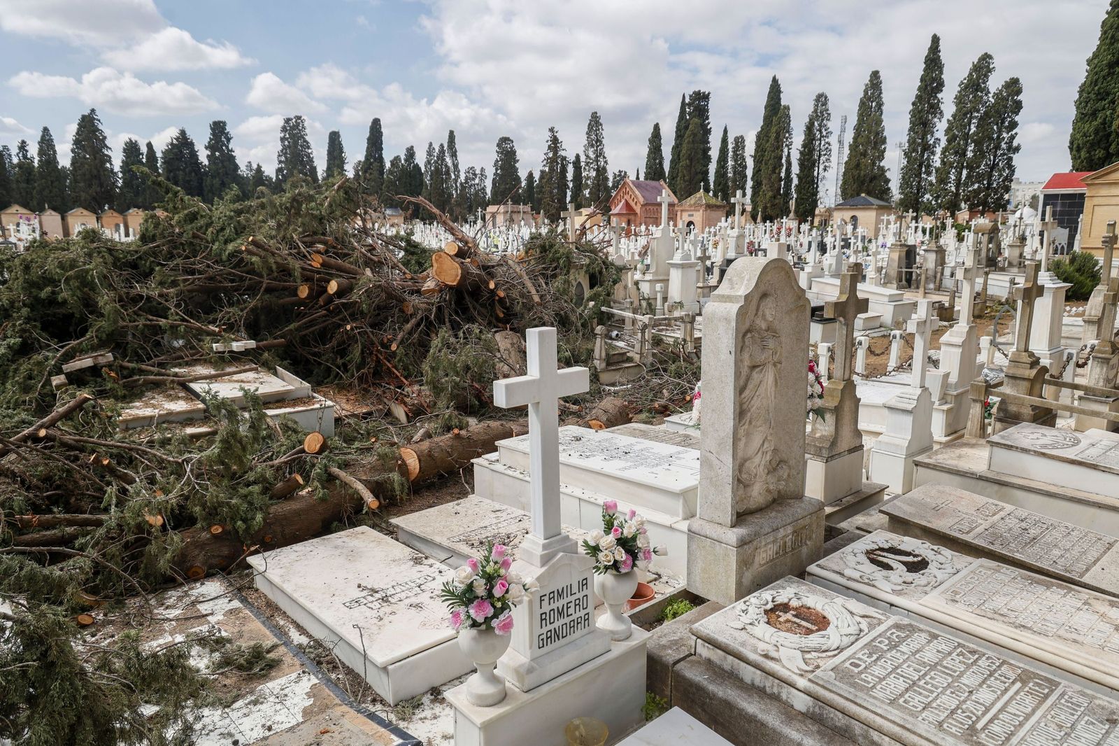Destrozos provocados en las lápidas del cementerio por la caída de árboles