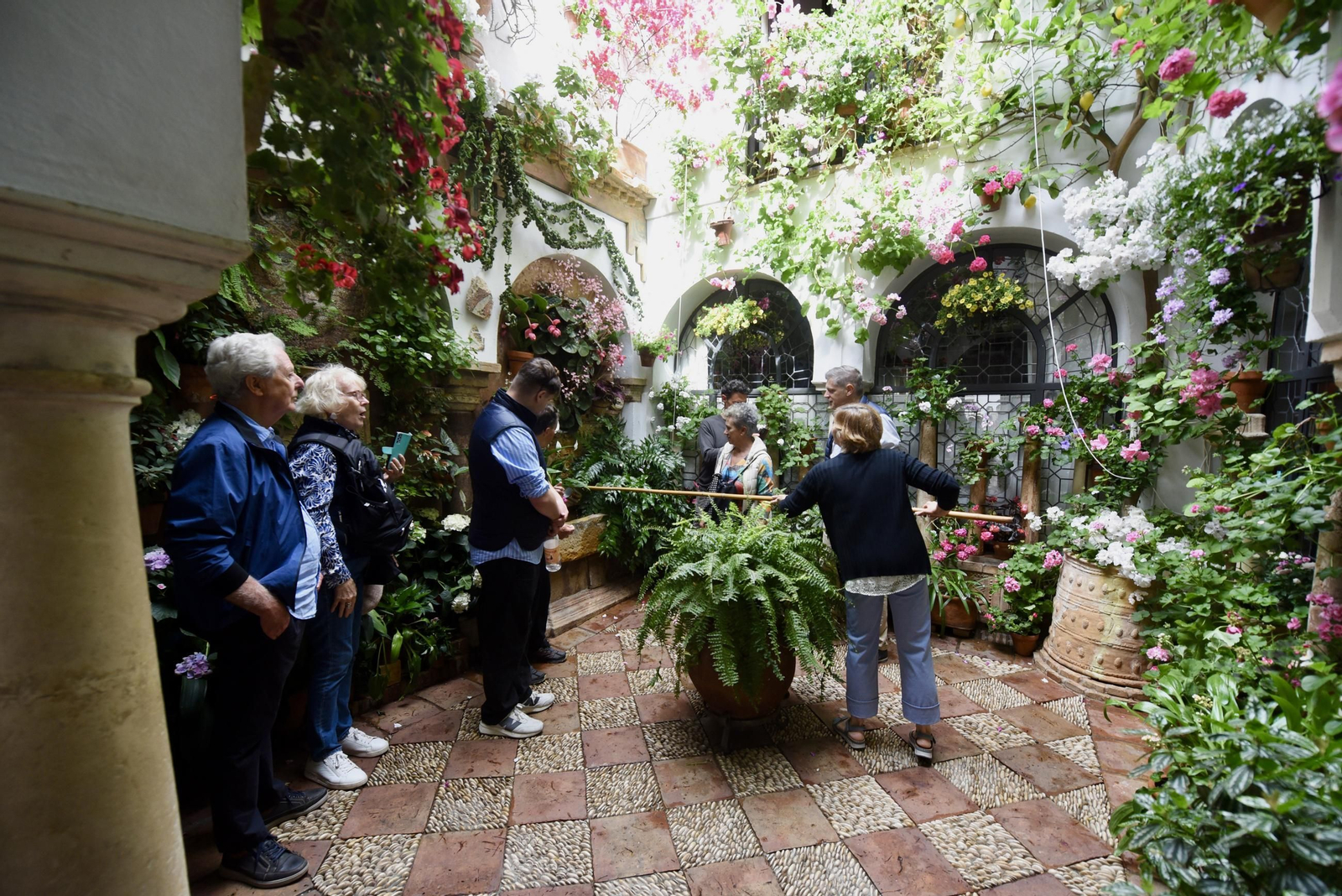 Los Patios de Córdoba de la Ruta del Alcázar Viejo, en imágenes