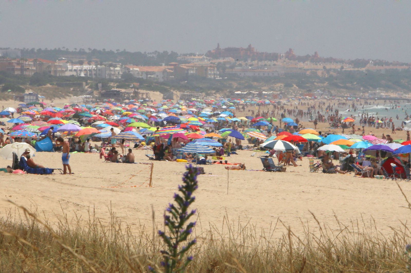 Vista parcial de la playa de La Barrosa repleta de bañistas durante esta temporada veraniega.