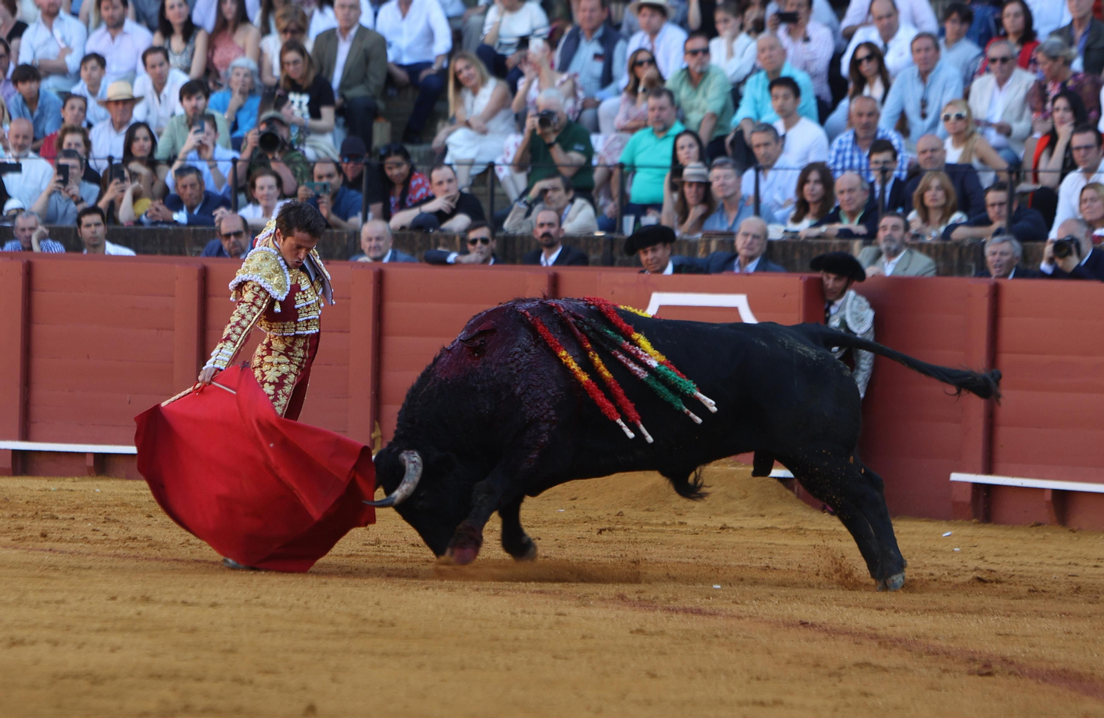 Las mejores imágenes de la corrida de hoy