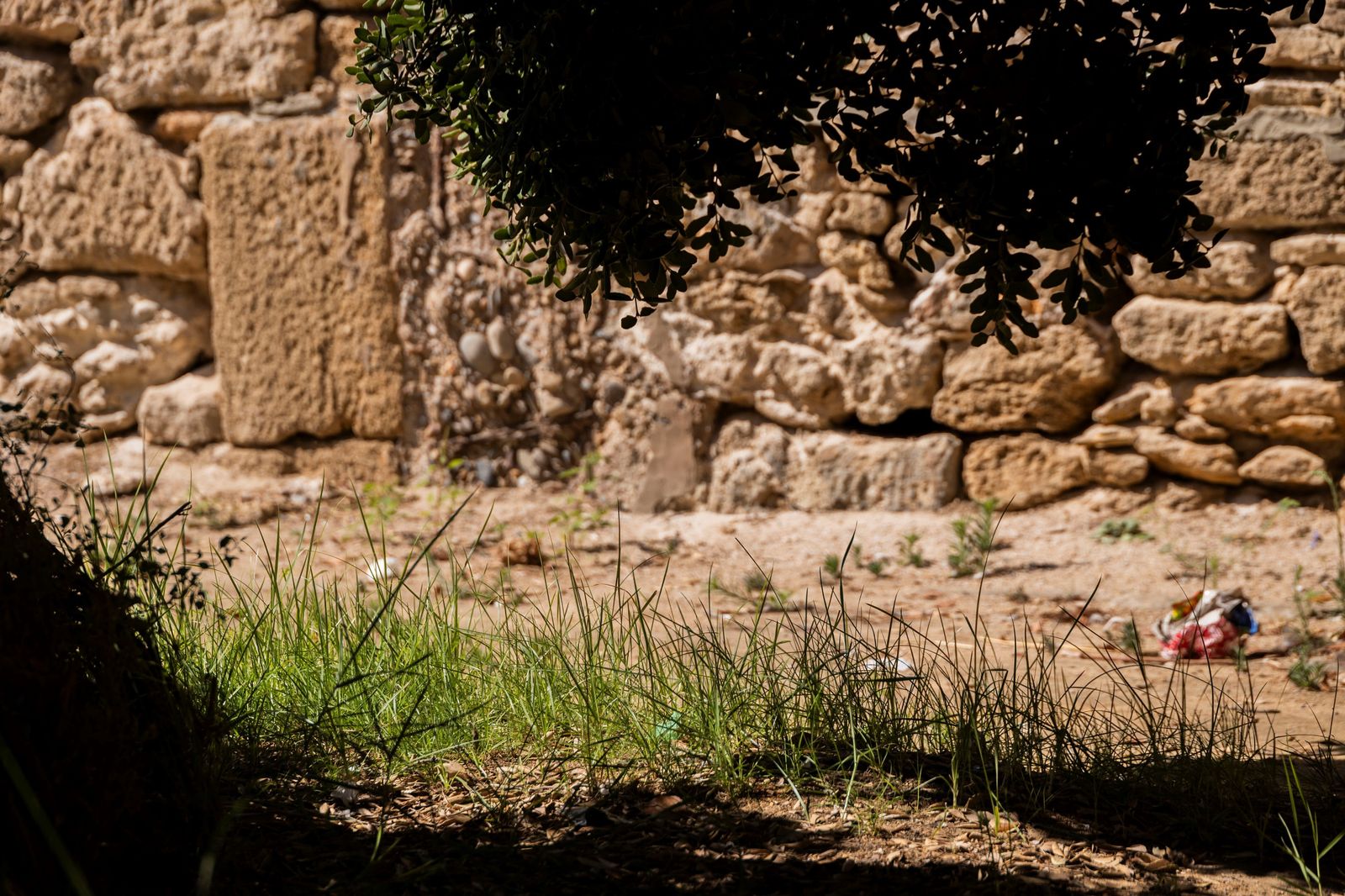 El estado de los jardines de la muralla de Cádiz