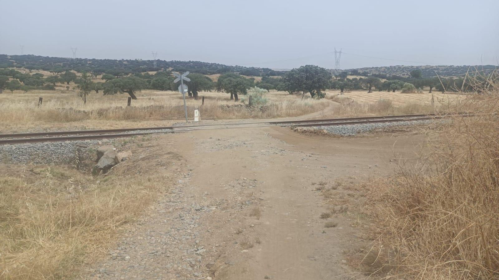 Cruzamos la vía del tren para poco después volver a la carretera.