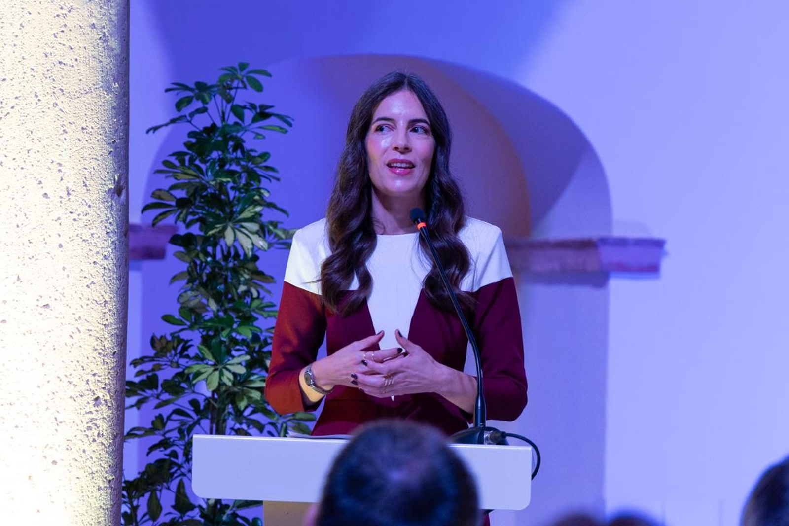 Homenaje a Luis Berges Roldán por el 40 aniversario de premio Europa Nostra a la restauración de los Baños Árabes de Jaén