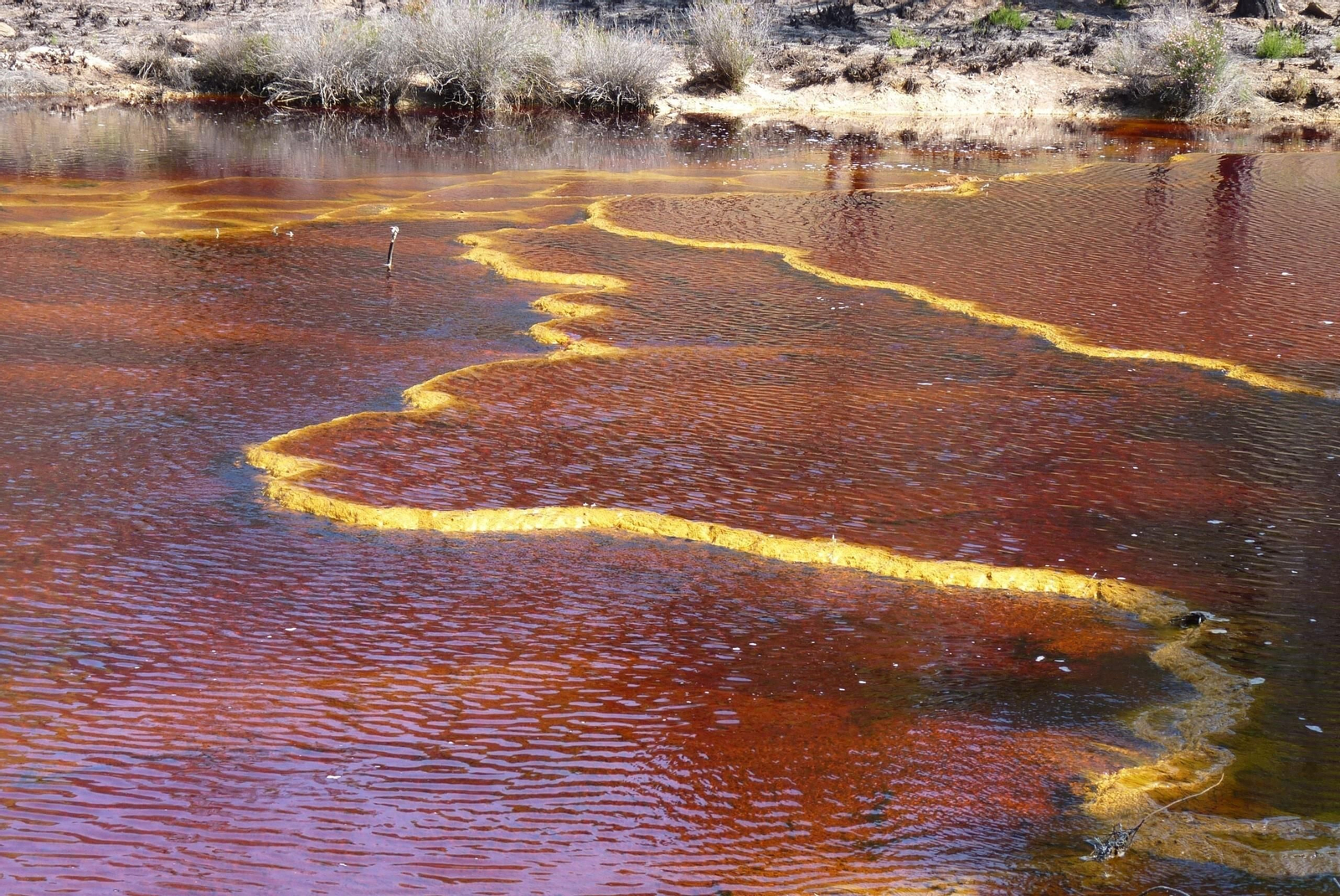 Los estromatolitos de hierro del río Tintillo están dispuestos en terrazas, es decir, escalonados gradualmente y tienen además un color rojizo debido a su composición.