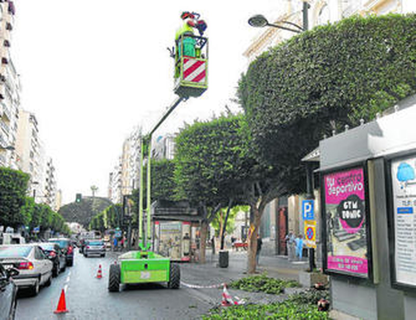 Uno de los carriles del Paseo de la capital, inhabilitado.