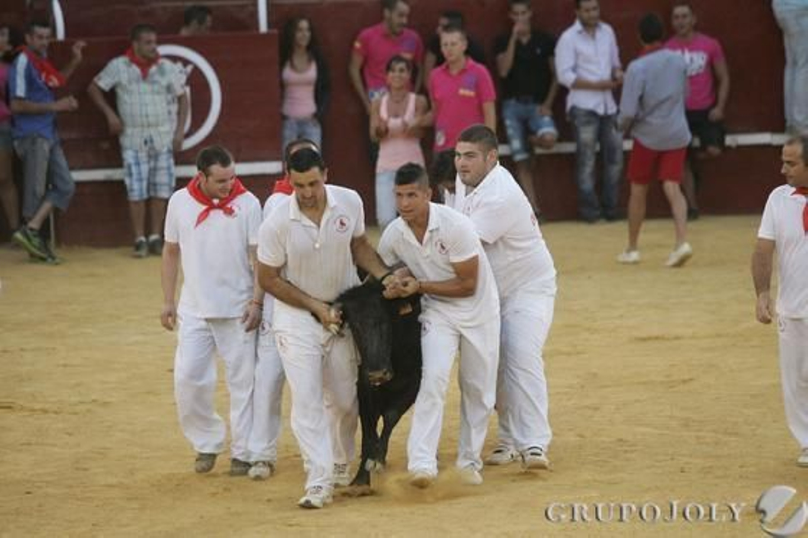 La vaquilla, siendo arrastrada por los mozos

Foto: José María Quiñones