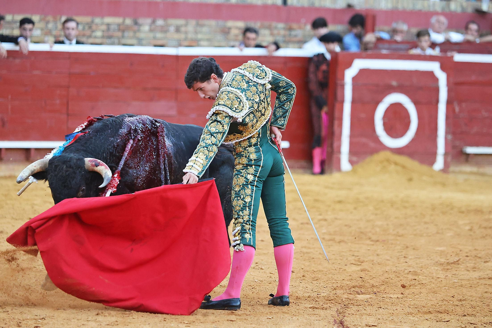 Toros La Merced 2024 Novillada con picadores(
