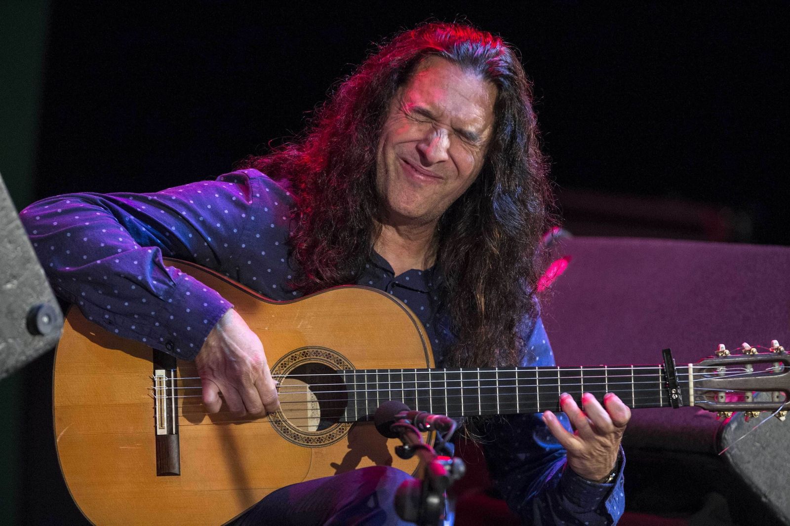 El guitarrista Tomatito, en concierto hace unos días.