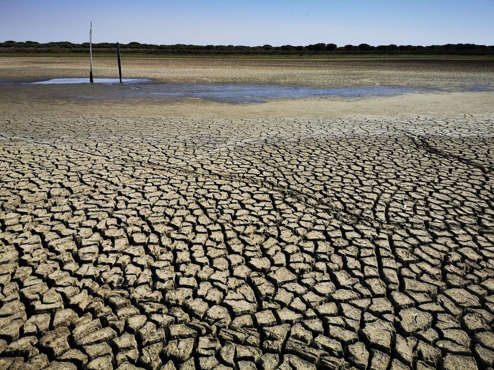 Situación de la laguna de Santa Olalla en Doñana a finales del pasado mes de agosto.