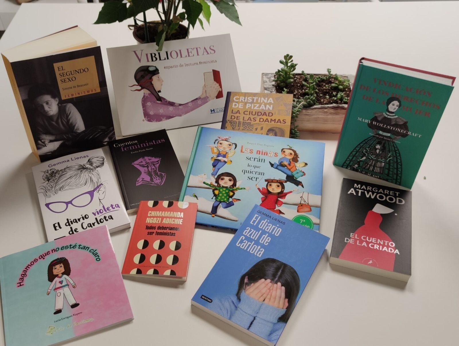 El proyecto se enriquece en esta edición con nuevos títulos.