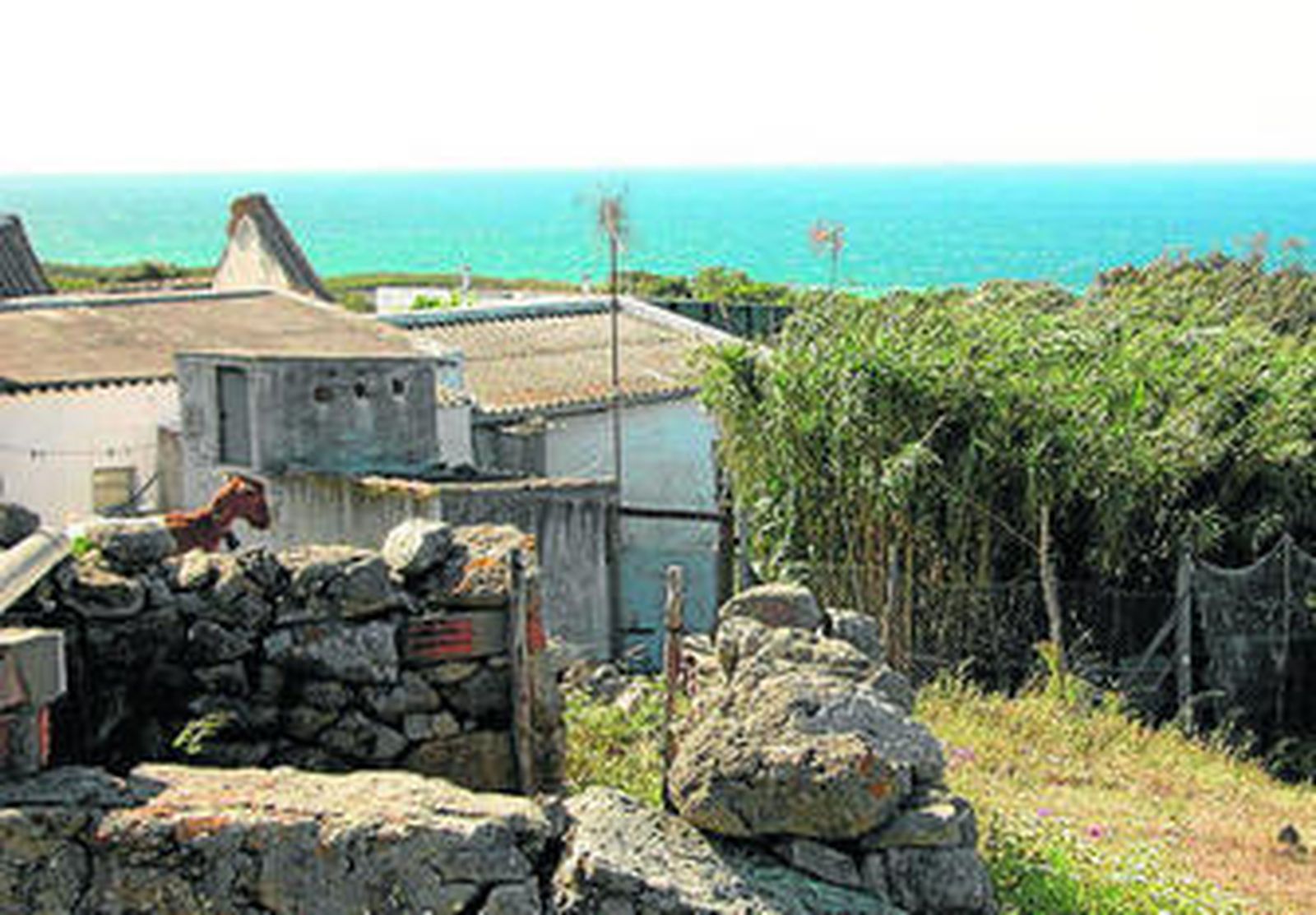 Vista general de la zona de Paloma Baja.