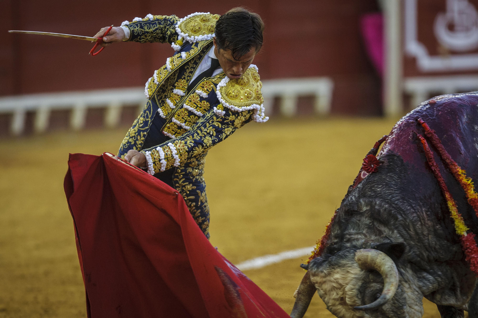Las imágenes de la tarde de toros del domingo en El Puerto