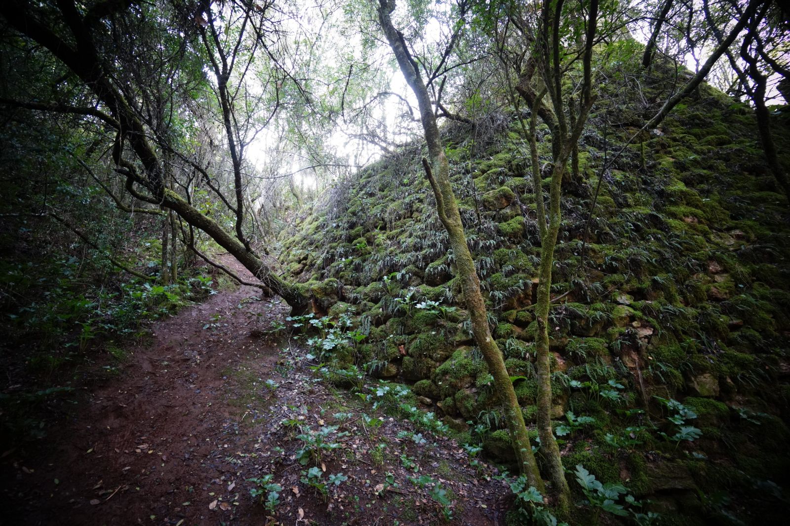 Una ruta por los Baños de Popea en Córdoba, en fotografías
