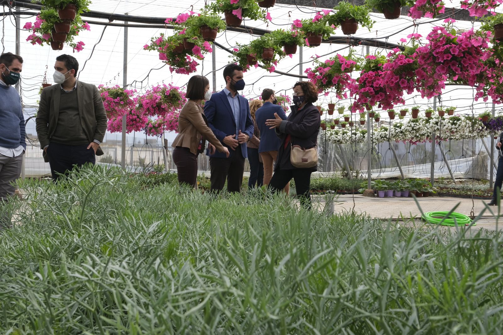 Fotogalería de la visita al vivero municipal de Almería.