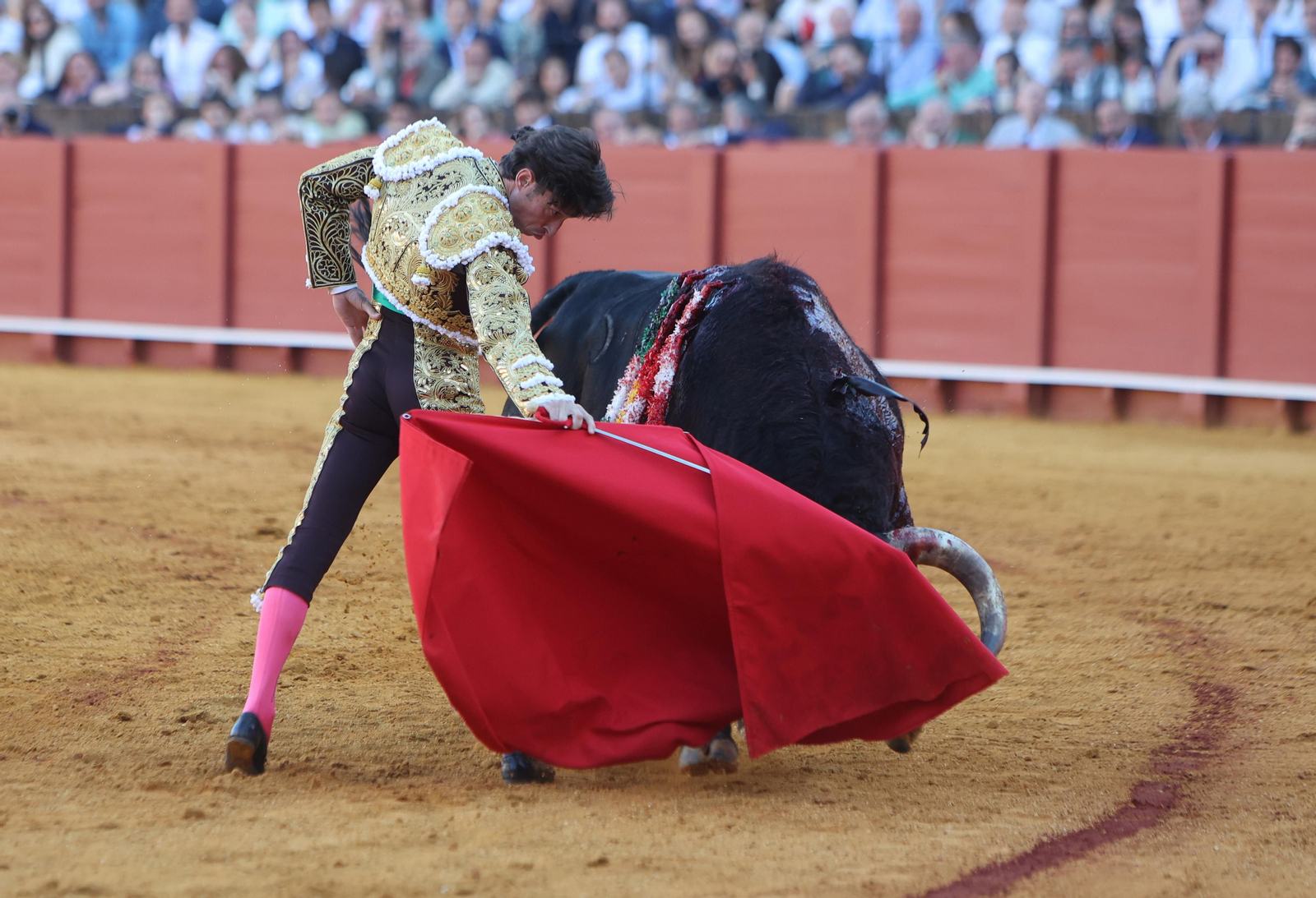 Las mejores imágenes de la corrida de hoy