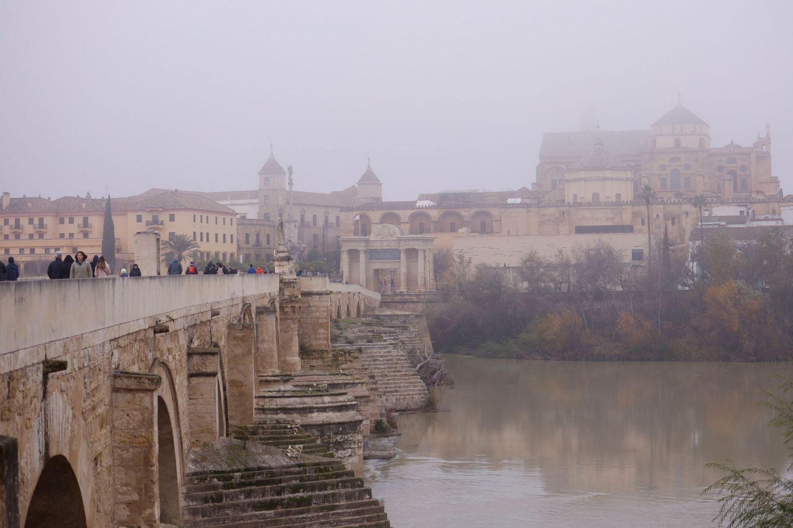 Córdoba amanece bajo la niebla el último día de 2025, en fotos