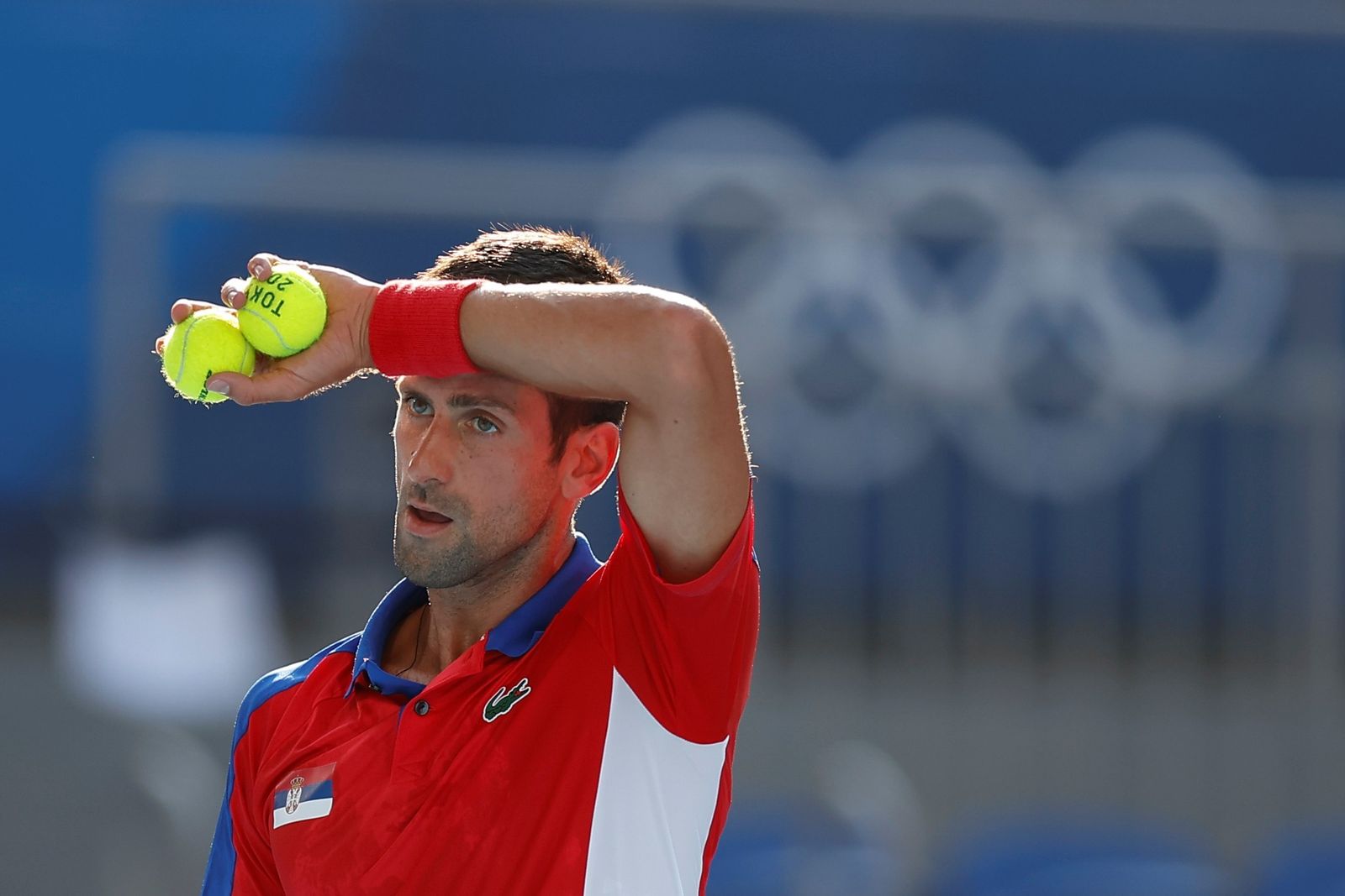 Las fotos del Davidovich-Djokovic