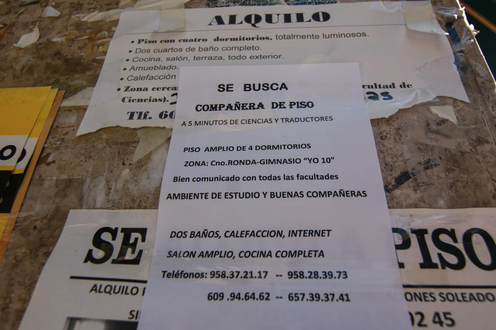 Anuncio que busca compañera de piso.
