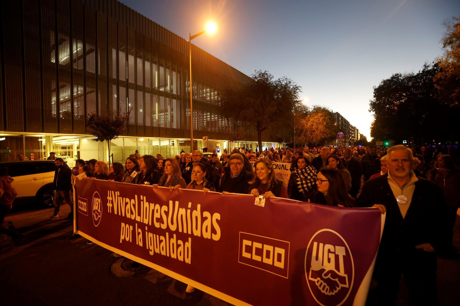 La manifestación del 25N en Córdoba