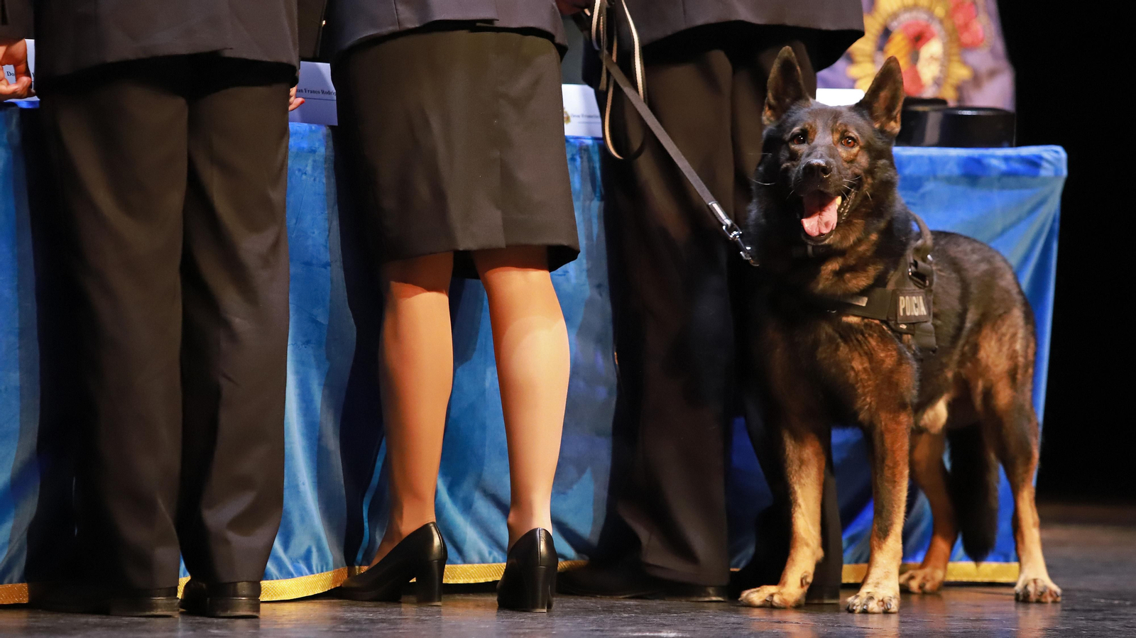 Las mejores fotos del Día de la Policía Nacional en la comarca
