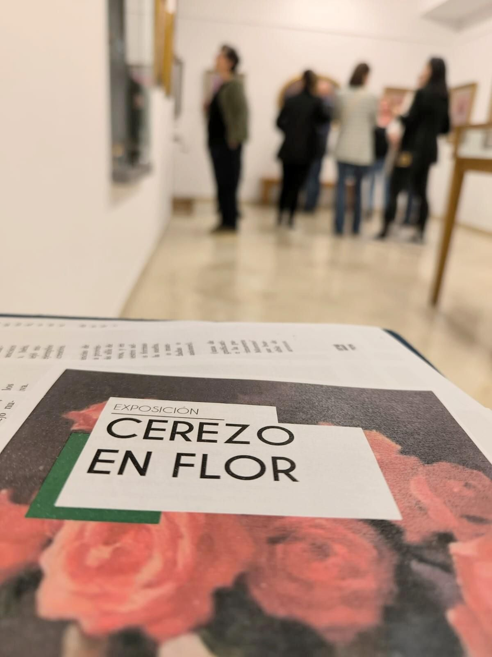 Hasta el 31 de mayo se puede visitar la muestra de martes a domingo.