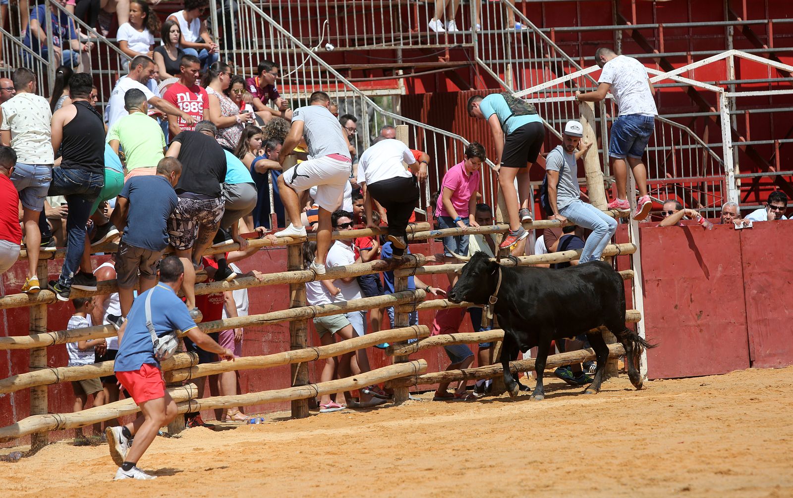 Capeas de Trigueros en imágenes