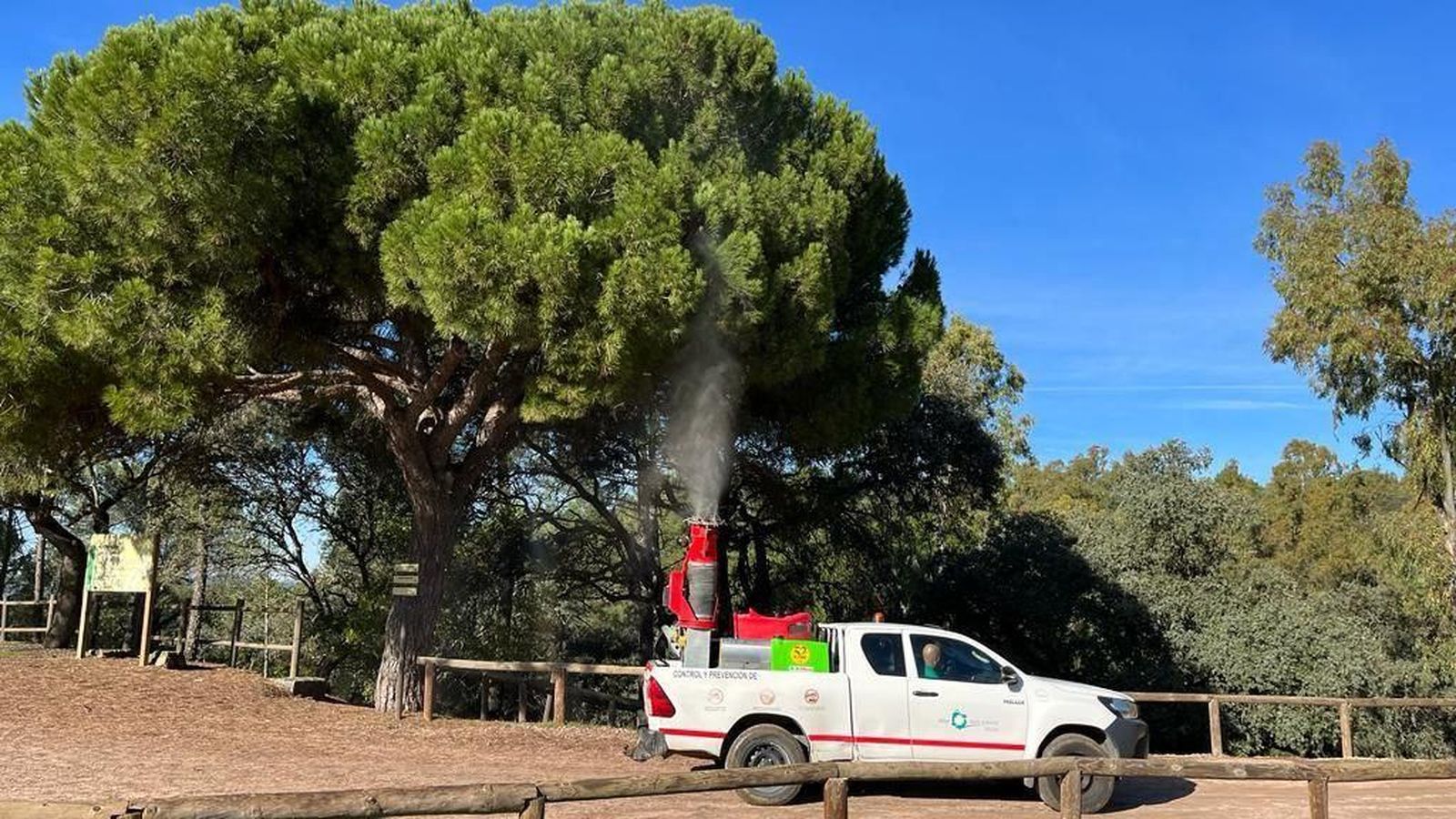 Tratamientos terrestres contra la procesionaria del pino.