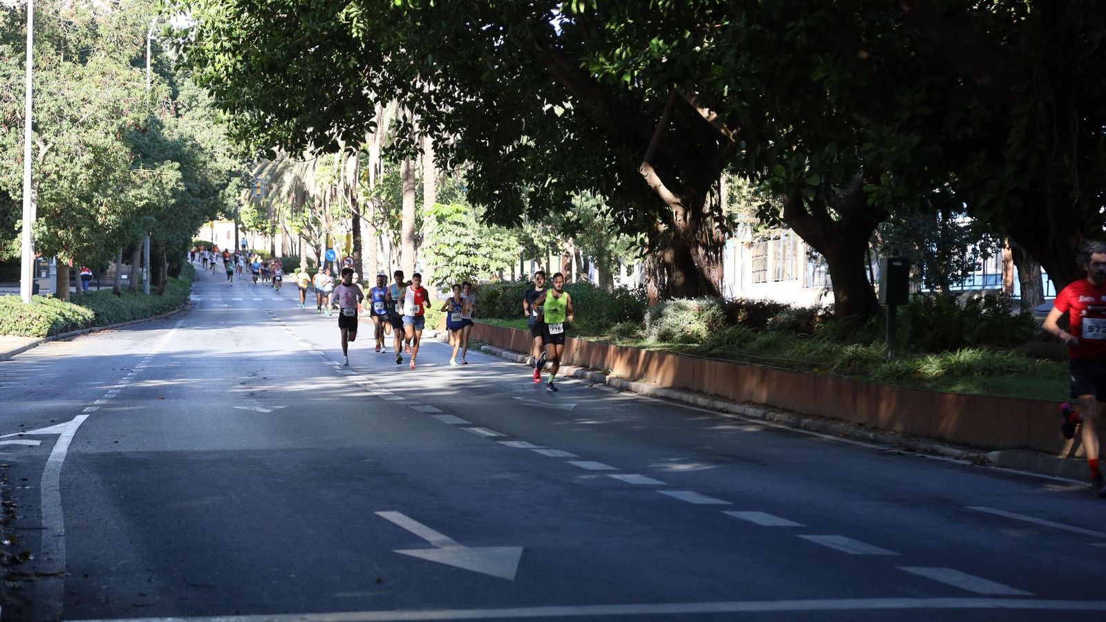 Búscate en las fotos de la Carrera de la Prensa en Málaga
