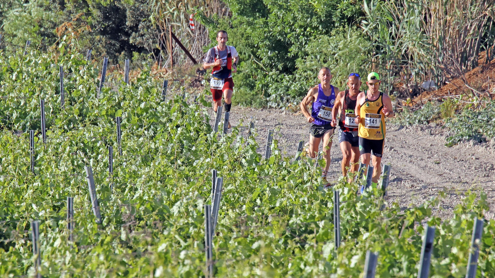 VI Sherry Maratón Jerez