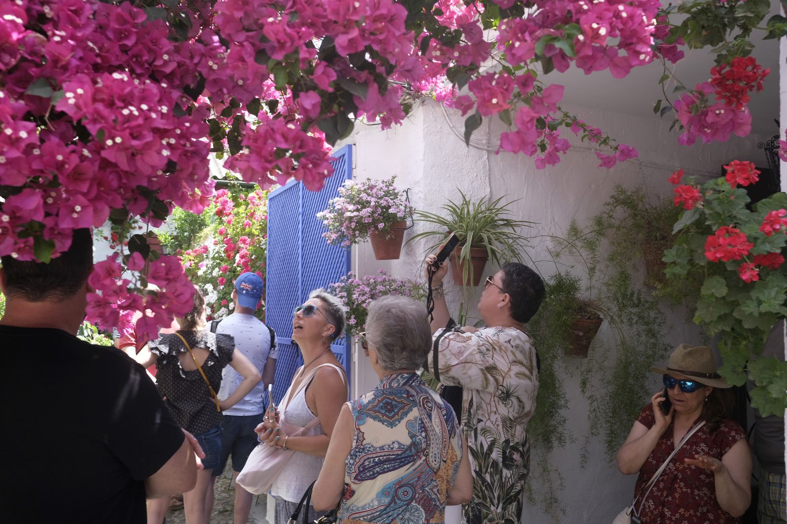 El último día del Festival de los Patios de Córdoba 2022, en imágenes