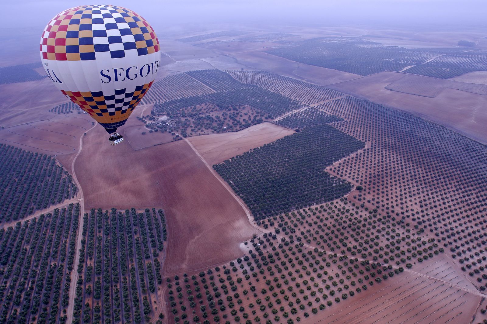 Reportaje sobre el aceite de oliva