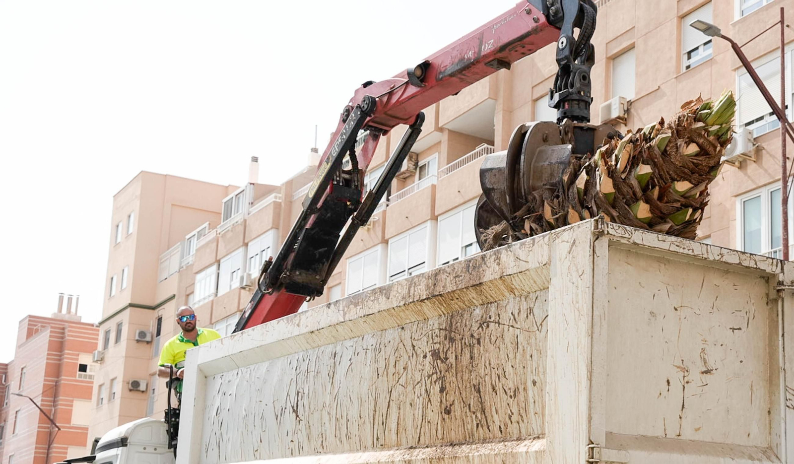Completan la tala de palmeras de la avenida Cabo de Gata