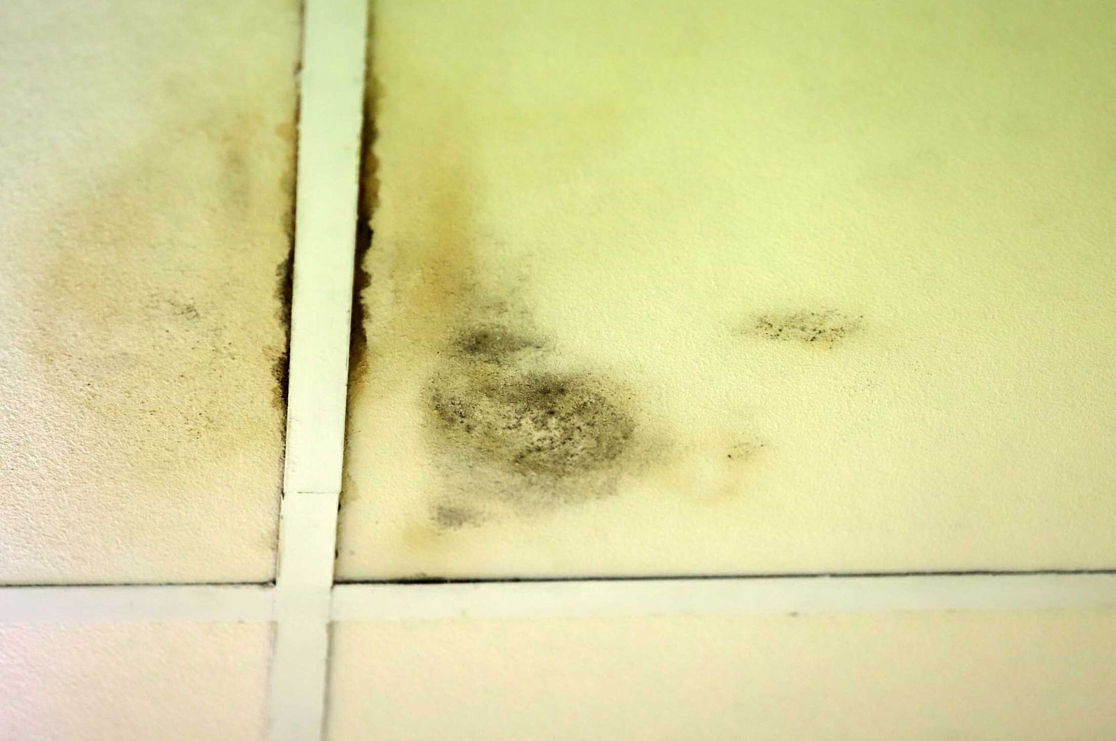 Imágenes del mal estado en el que se encuentra la Unidad de Salud Mental de la Plaza Houston