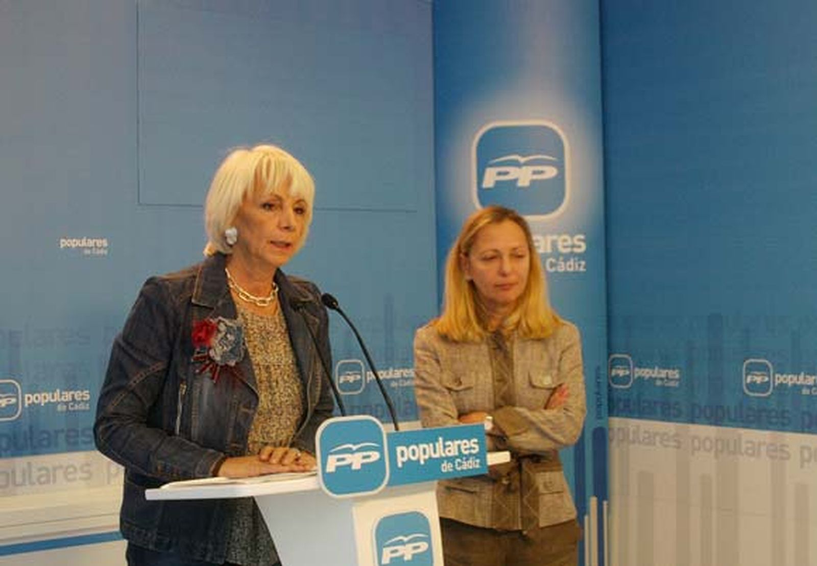 El PP insiste en que no habrá recortes ni copago en la sanidad