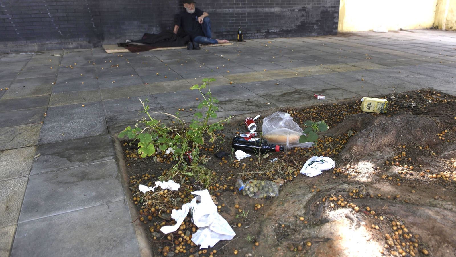 Basuras en un alcorque en Tres Barrios-Amate, este jueves.