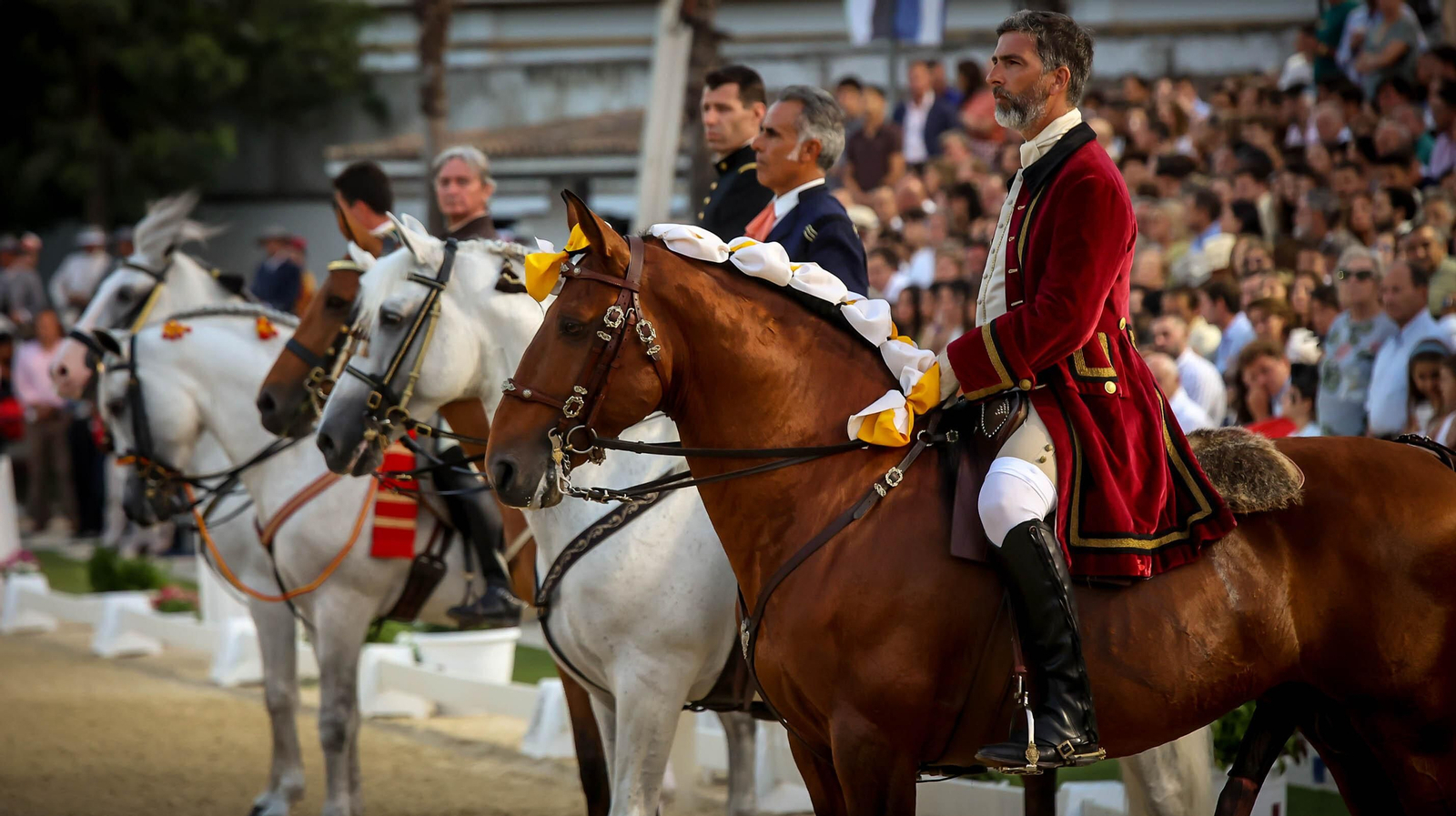 Gran éxito de la Gala de las V Escuelas en Jerez