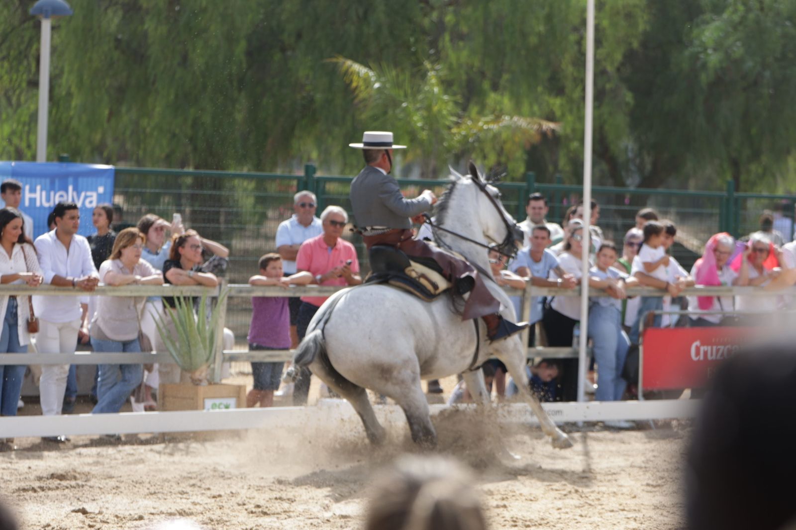 Exhibiciones del domingo.
