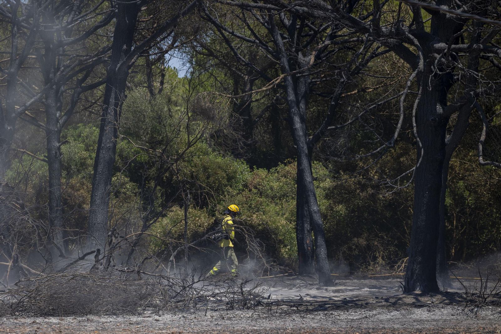 Las imágenes del incendio declarado junto a Roche, en Conil