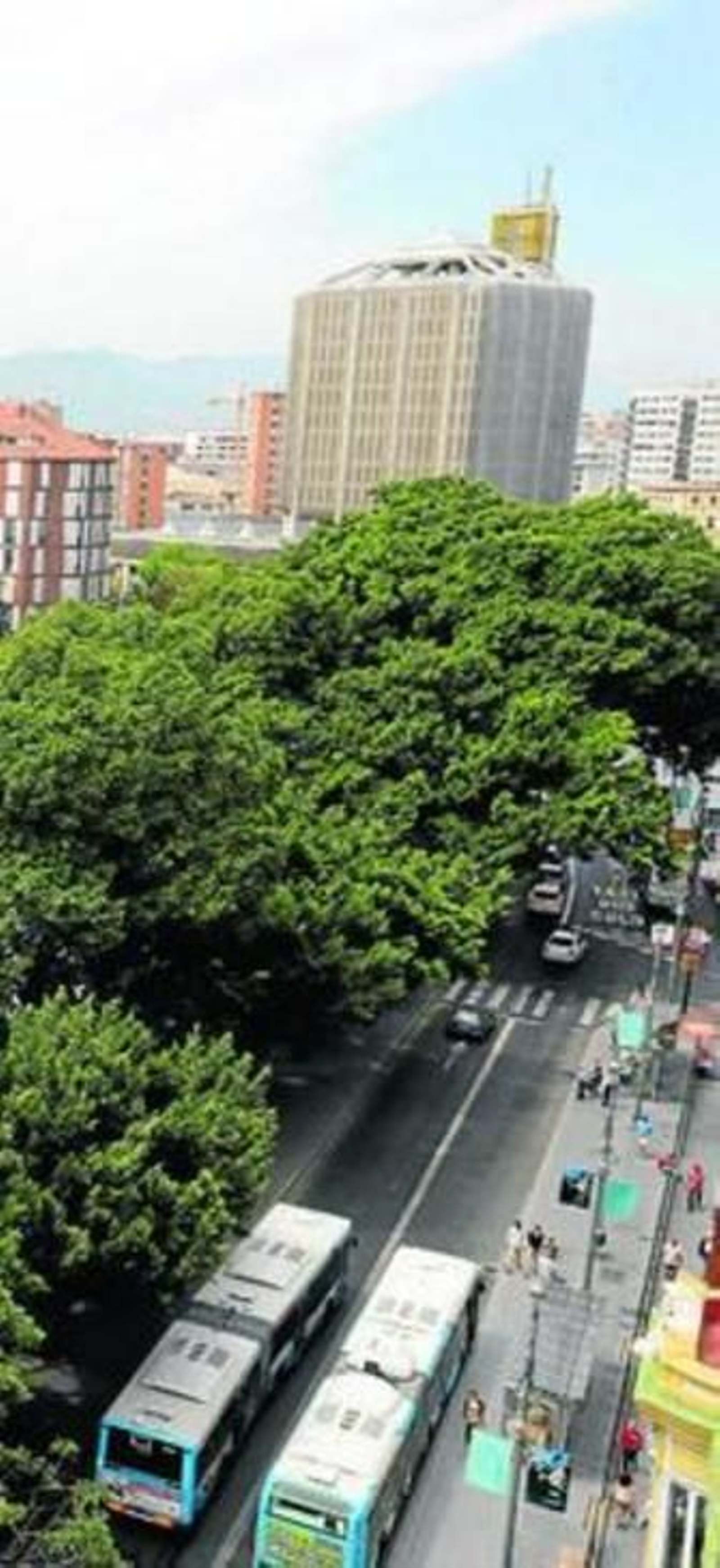 Varios autobuses pasan por el lateral norte de la Alameda.